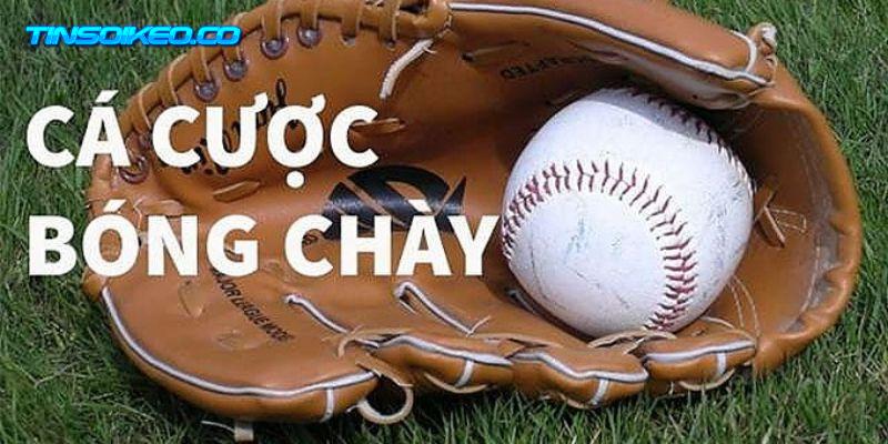 Các hình thức cá cược bóng chày phổ biến