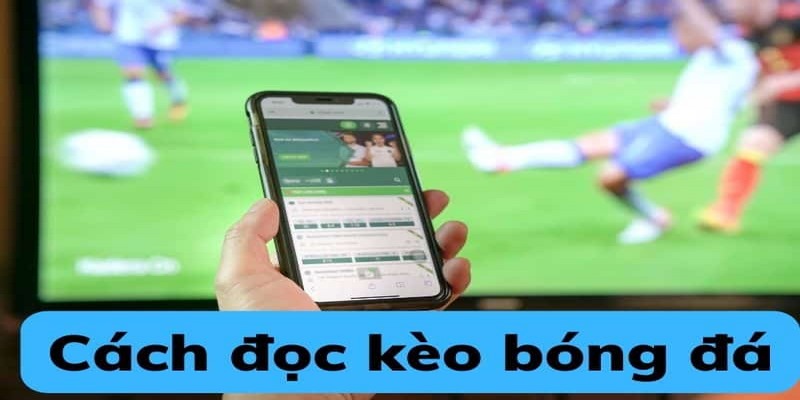 Cách đọc kèo bóng đá Chẵn Lẻ được đánh giá là không quá khó