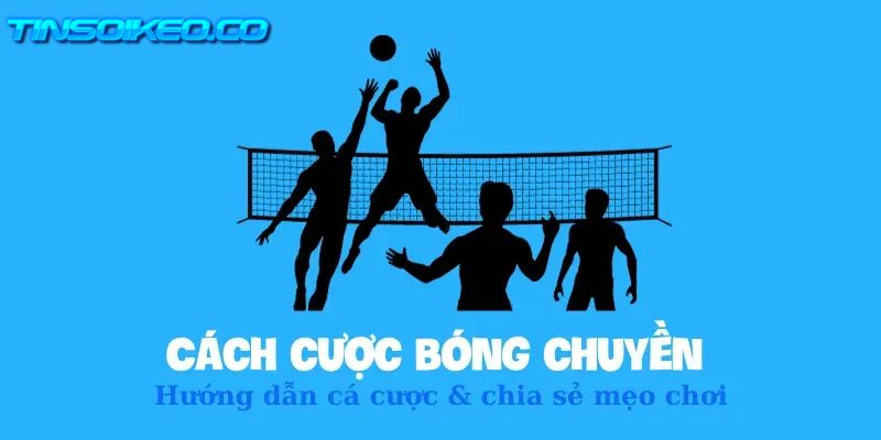 Thao tác truy cập cá cược bóng chuyền nhanh chóng, đơn giản