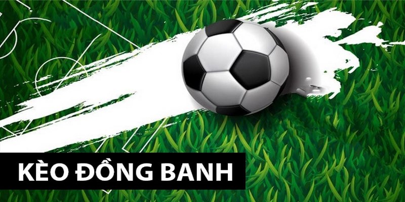 Cách tính tiền trong cược đồng banh vô cùng đơn giản