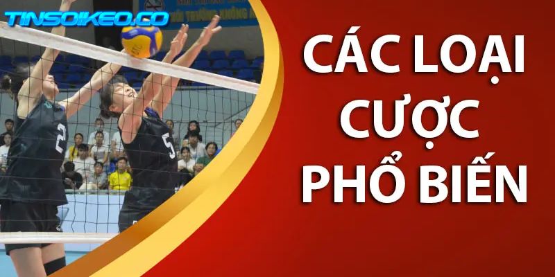 Luật chơi chi tiết áp dụng cho cá cược bóng chuyền