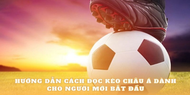 Một số kèo cược chấp ăn khách nhất