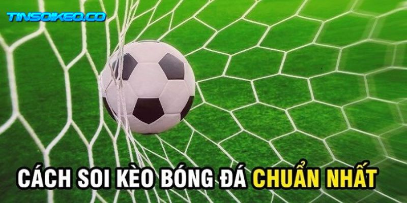 Kinh nghiệm xả kèo bóng đá